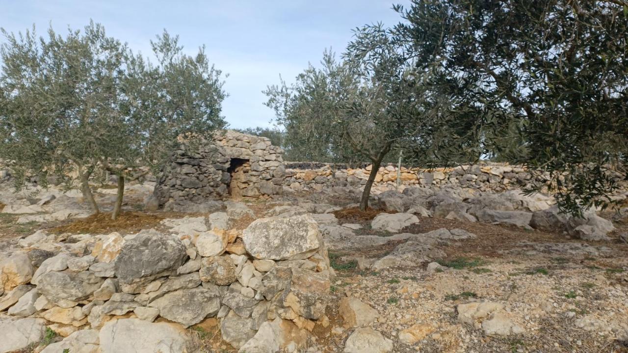 3Natura Avinyonet de Puigventos Bagian luar foto