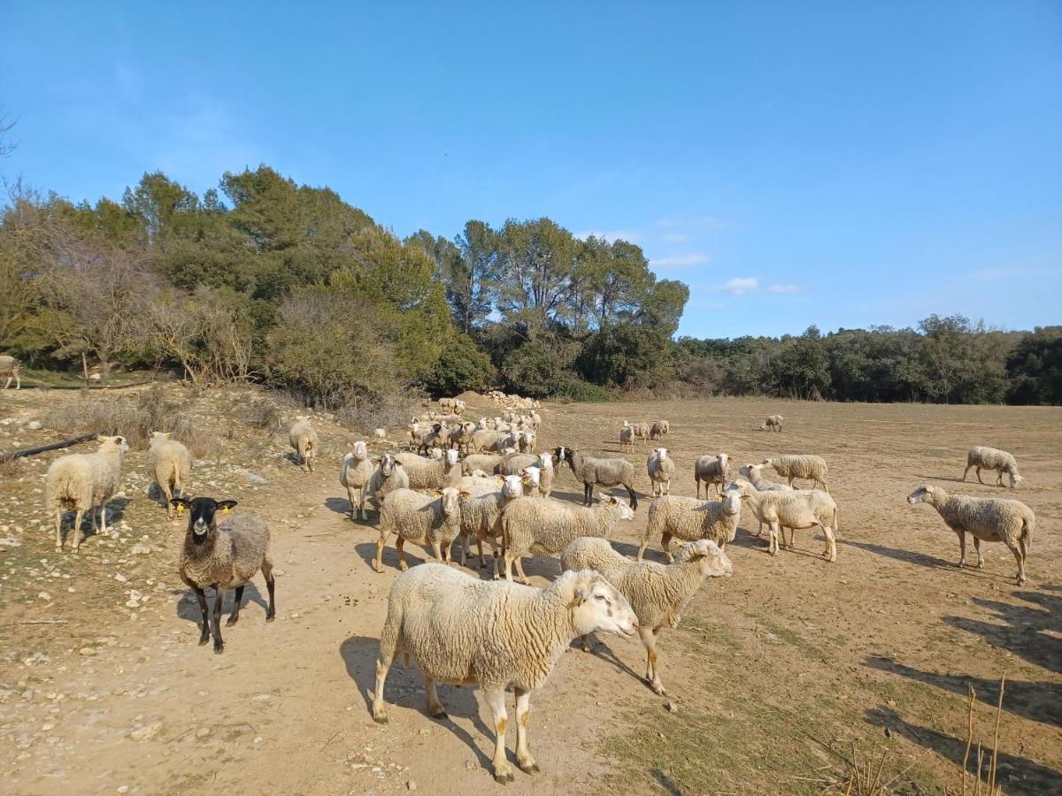 3Natura Avinyonet de Puigventos Bagian luar foto