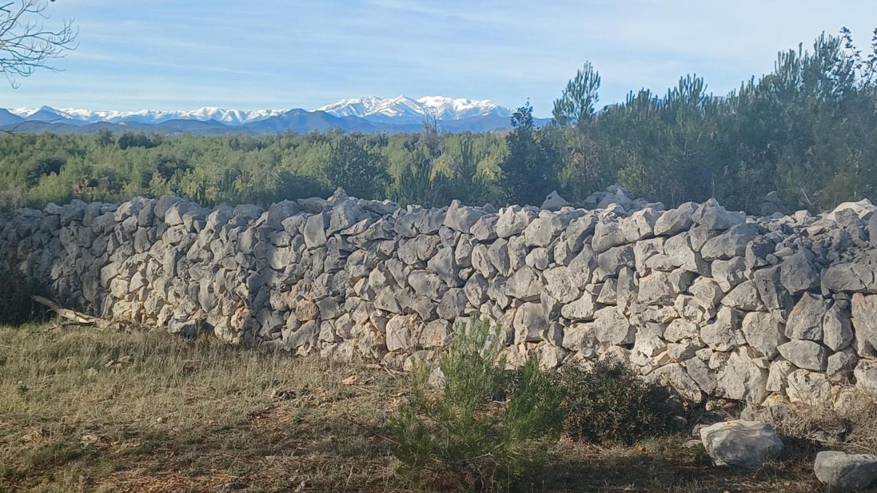 3Natura Avinyonet de Puigventos Bagian luar foto